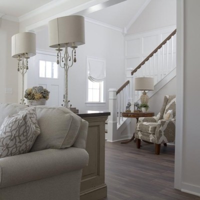 Whole House Air Purifier