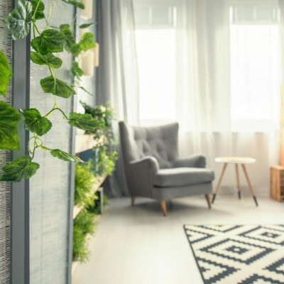 Get More Natural Light in Your Living Spaces