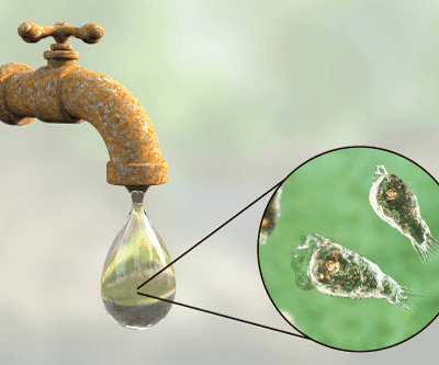Is Your Body Home To Parasites