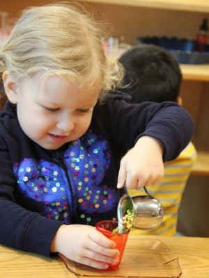 5 Alternatives to Traditional Public School