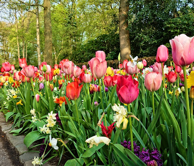 Backyard Improvements That Will Rock Your World