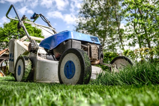 Simple Steps to Improve Your Outdoor Space