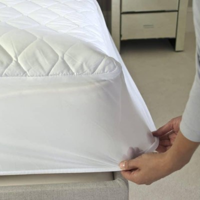 Getting Rid of Pesky Bed Bugs