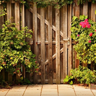 Adding a New Lease of Life to Your Garden