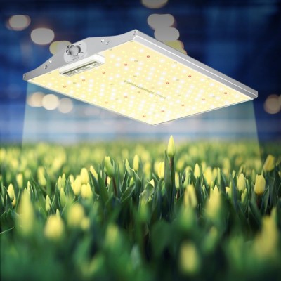 Best LED Grow Lights 2021