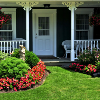 Low-Maintenance Yard