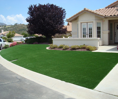 The Emergence of Artificial Turf
