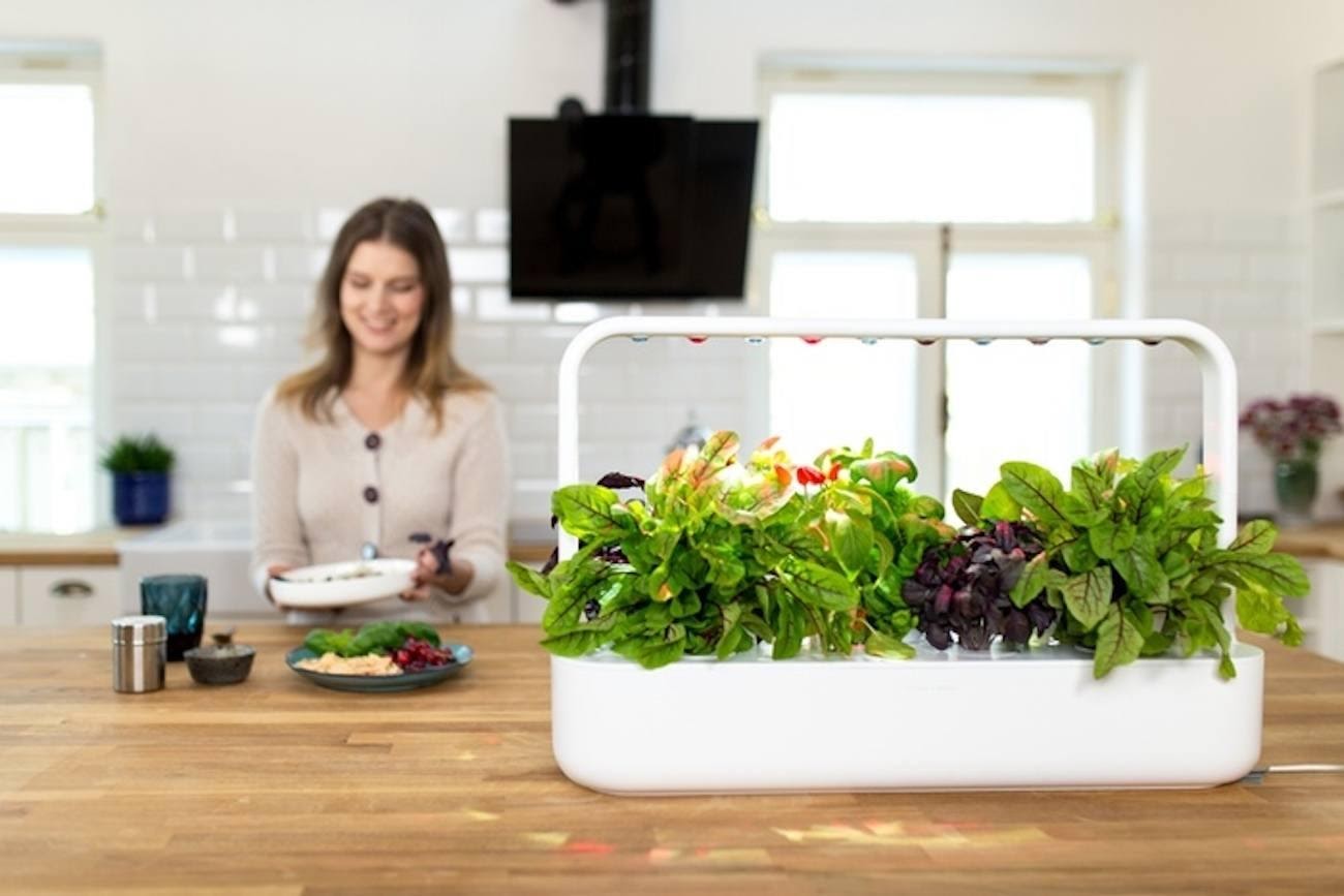 Benefits of Growing Smart Gardens - The Dedicated House