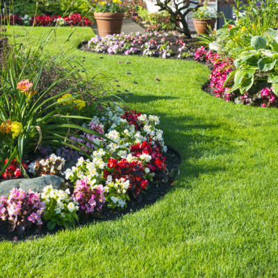 How to Start Seeds at Home