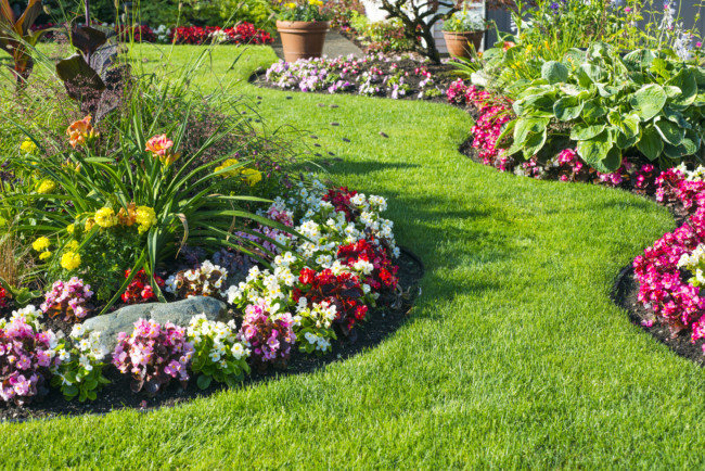 How to Start Seeds at Home
