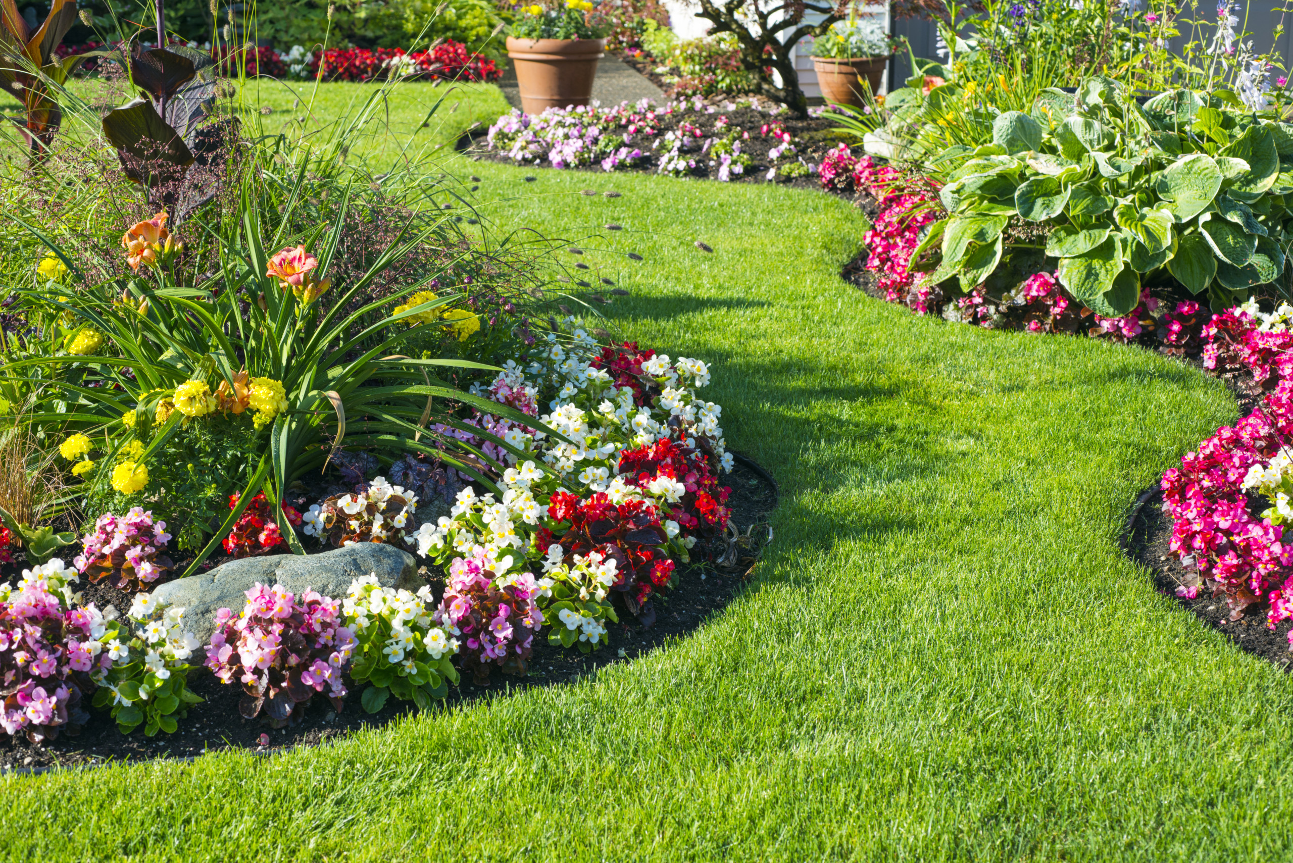 How to Incorporate Wildlife-Friendly Landscaping