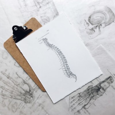 Can Chiropractic Treat Neck Pain?