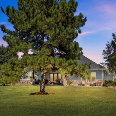 Why You Might Need to Hire An Arborist
