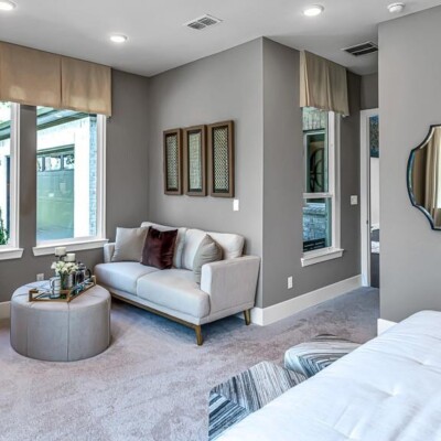 Clean And Maintain Your Carpets And Sofas