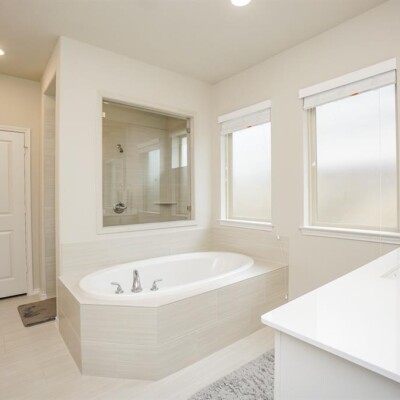 Mold Growth and Removal