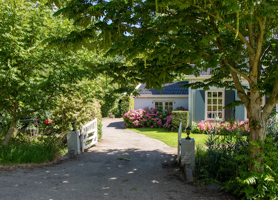 How To Make Your Front Yard Look Stunning