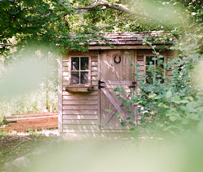 Here's Why You Should Own a Shed