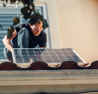 Pigeons and Solar Panels