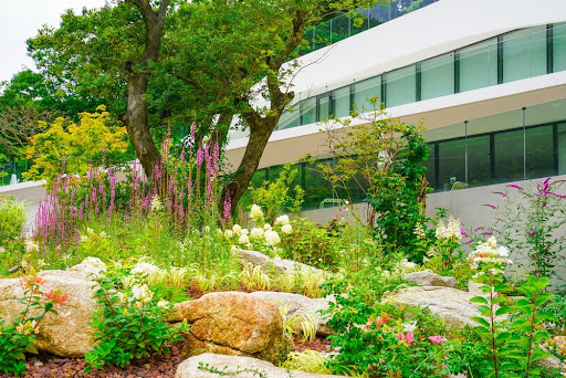 Making Your Garden Ready For Summer Sun