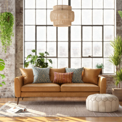 Trending Indoor Plants