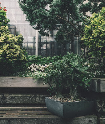 Garden Upgrade Ideas