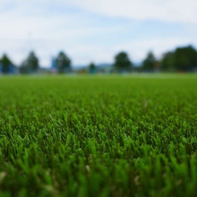 5 Awesome Arguments to Get an Artificial Grass