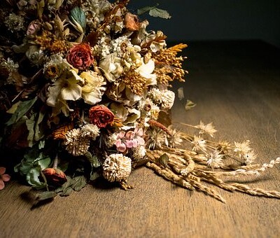 A Guide to Dried and Preserved Flowers