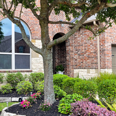 How to Create a Low-Maintenance Garden for Busy Homeowners