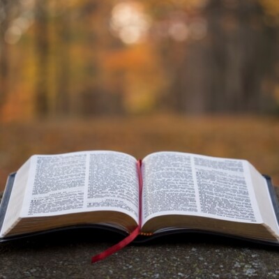 5 Tips For Choosing a New Bible