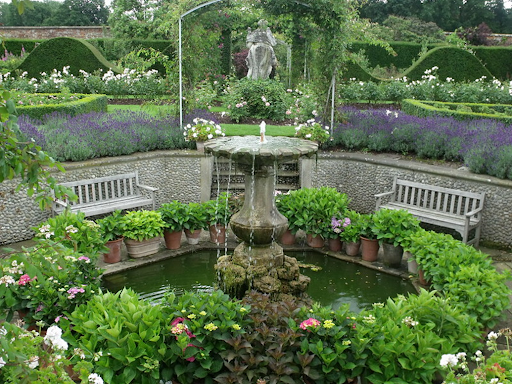 How to Do Gardening As a Beginner This Year