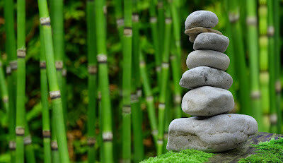 3 Top Tips to Create a Great Garden