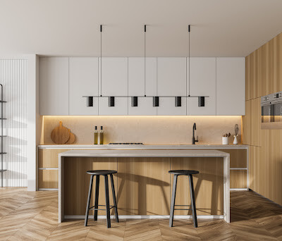 Contemporary Modern Kitchen