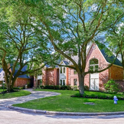 Seasonal Tree Care Tips: