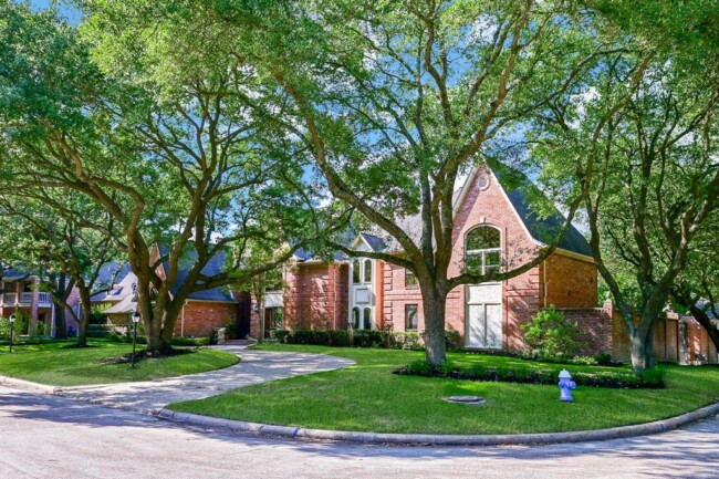 3 Benefits of Regular Tree Maintenance
