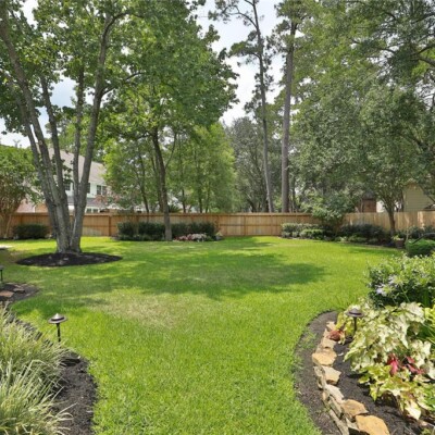 When to Call for Emergency Tree Removal
