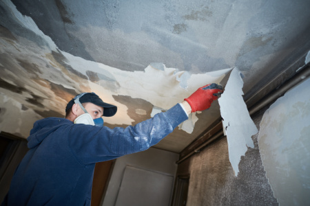 Home Damage Restoration Professionals - The Dedicated House