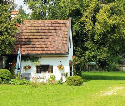 How to Build Your Own Shed