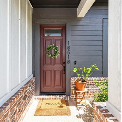 Termite Removal & Inspection