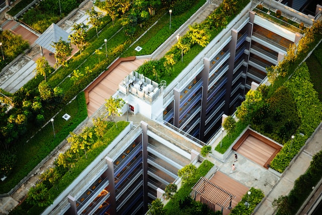 Green Roofing