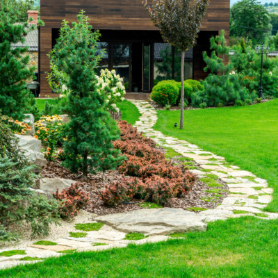 Enhancing Your Backyard Space