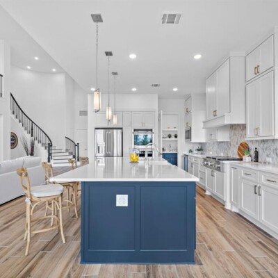 Get Rid of Pest Infestation in Your Home