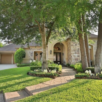 Why Regular Tree Maintenance is Essential for Homeowners