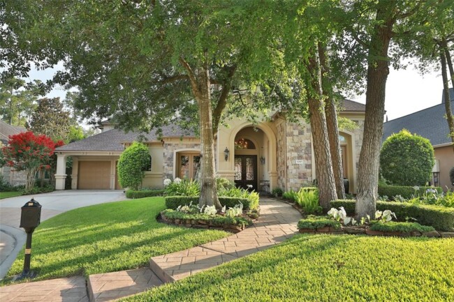 Why Regular Tree Maintenance is Essential for Homeowners