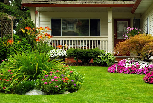 Professional Landscape Planning