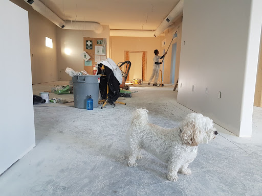 How to Make Residential and Construction Clean-Up Easier