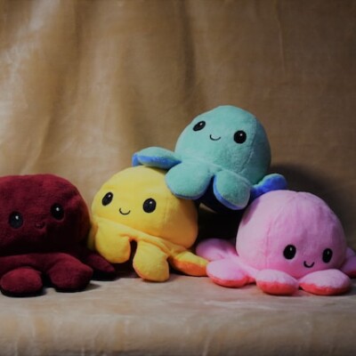 What Can I Do With My Squishmallows?
