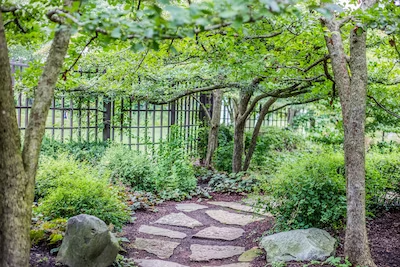 Ideas You Will Get Only From Garden Pros