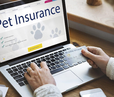 Physicians Mutual Pet Insurance