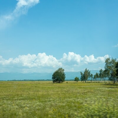 Unlock Your Land Ownership Dreams