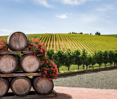 Why Virginia Is a Wine Lover’s Paradise